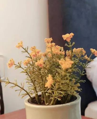 Hipoclub Delux Faro Park 189 Villa