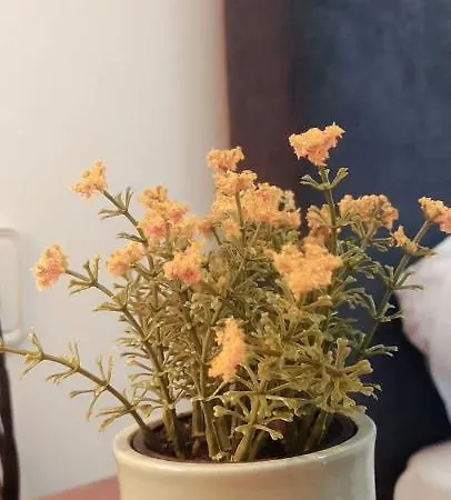 Hipoclub Delux Faro Park 189 Villa