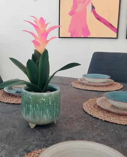 Hipoclub Delux Faro Park 189 * 普拉亚布兰卡